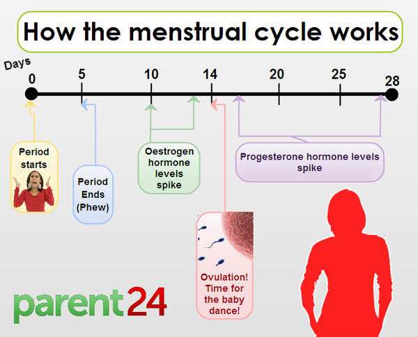 How long does implantation last?