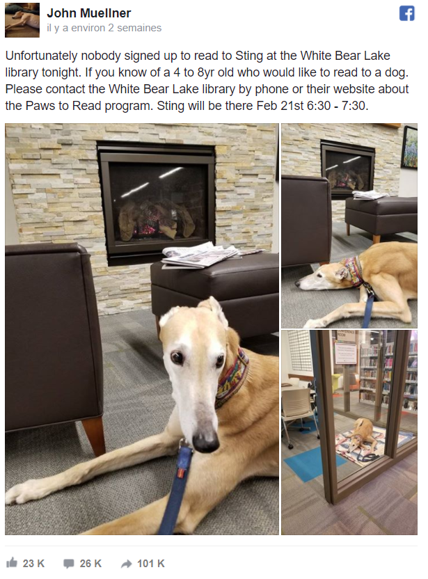 The 100 000 times shared Facebook post, displaying the sad greyhound waiting for children