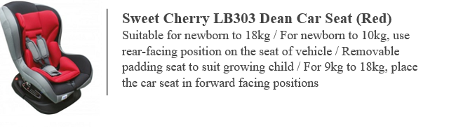 Sweet Cherry Car Seat