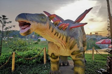 dinosaur-kingdom