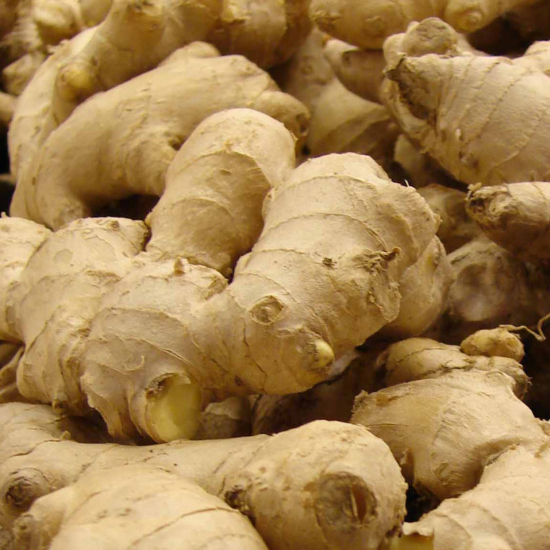 ginger-herb