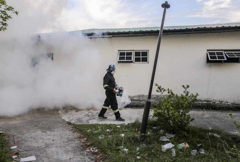 rising-dengue-cases3