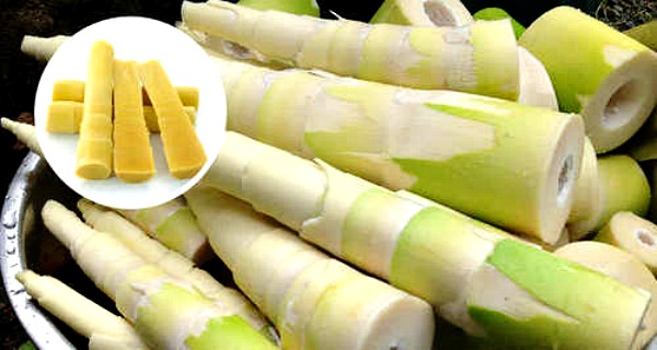 A bowl of Bamboo Shoots. Contains Cyanide. Fruits and Vegetables in Malaysia 