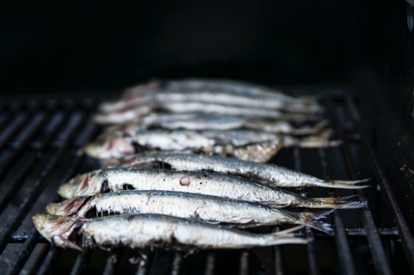 Sardines on a grill. What Foods to Wean your Baby with