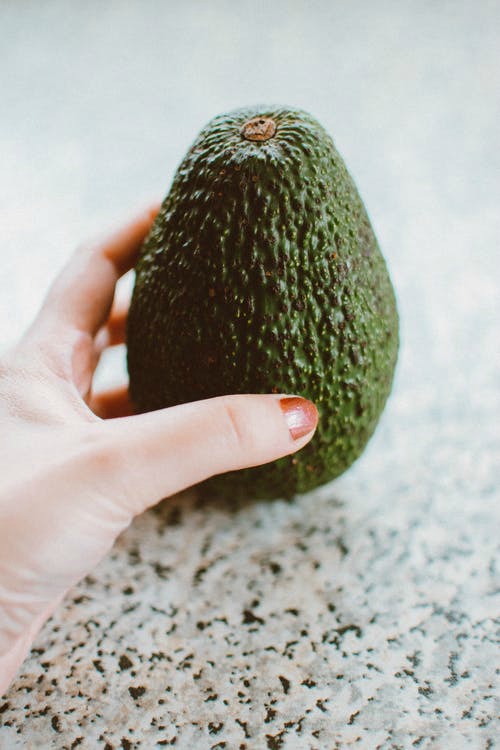 Hand holding one avocado. Toddler Recipes