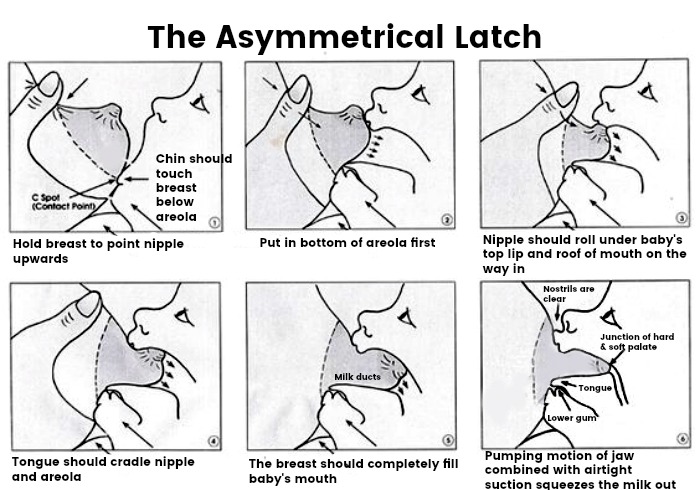 Diagram of the Asymmetrical Latch