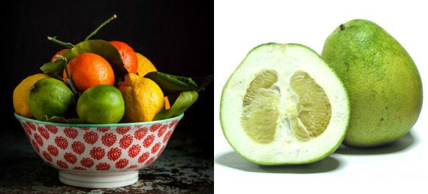 A bowl of citrus fruits to avoid. On the right is a favourite and rather revered Malaysian fruit especially among the Buddhists, the pomelo is a citrus fruit. In fact, its scientific name is Citrus maxima or Citrus grandis as it is the largest citrus fruit from the citrus family.