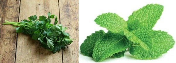 Parsley and Peppermint leaves reduce breastmilk production. (Image Credit: Abel & Cole, Click & Grow)