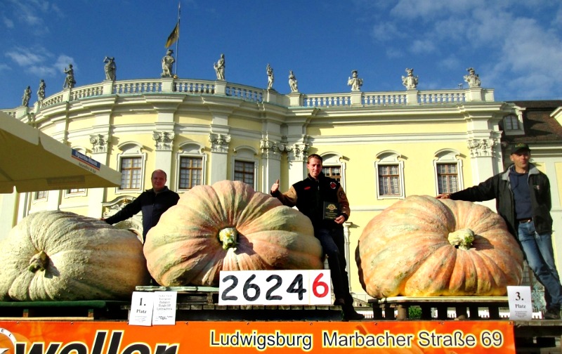 Here is the whopping 2,624.6-pound pumpkin won by Mathias Willemijns (centre) from Belgium in 2016. This pumpkin is the holder of the Guinness World Record for Heaviest Pumpkin. (Image Credit: Big Pumpkins.com) 