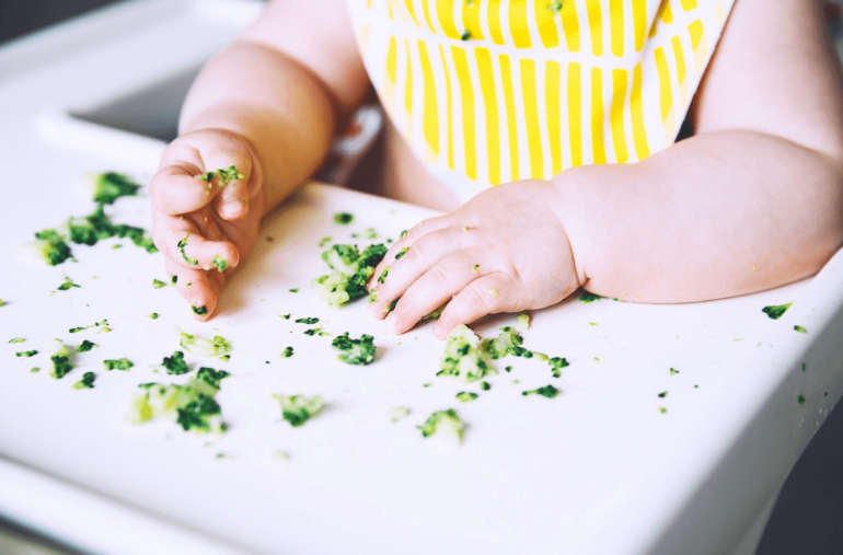baby led weaning time