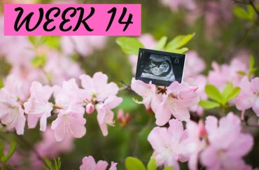 Second trimester: Things to know in week 14