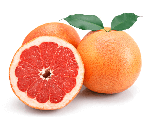 Grapefruit - baby's size when you are 15 weeks pregnant