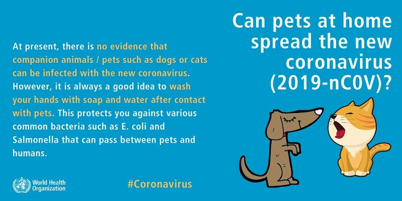 Coronavirus by WHO