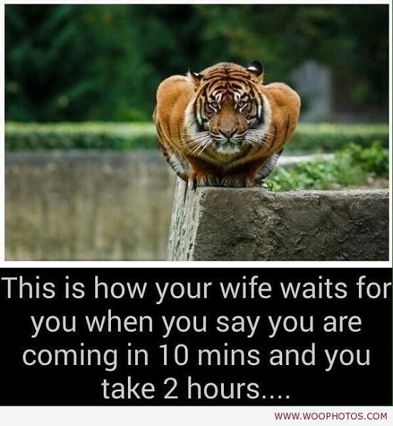 Meme of how your wife awaits you after marriage. 