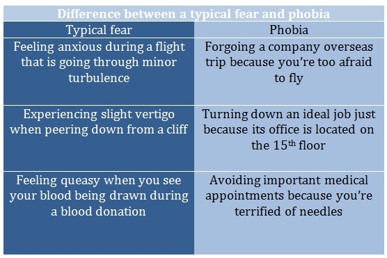 Paranoia Insect Entomophobia (Fear of Insects) - Understanding The Phobias and How to ...