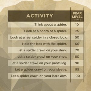 Simple Quiz for Arachnophobia fear