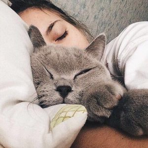 Girl Sleeping with pets