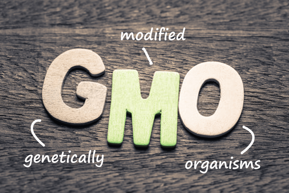 Food labels with GMO