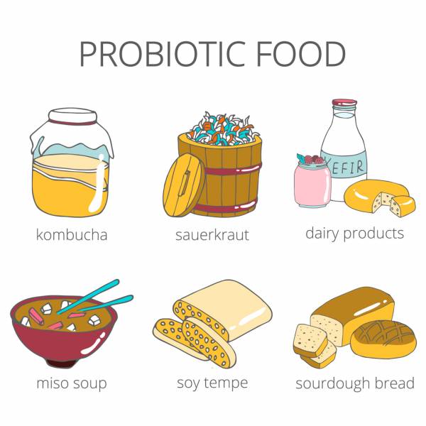 probiotic foods for your nutrition