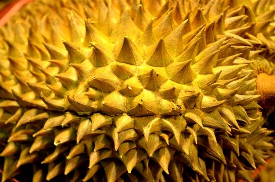 Durian Close Up