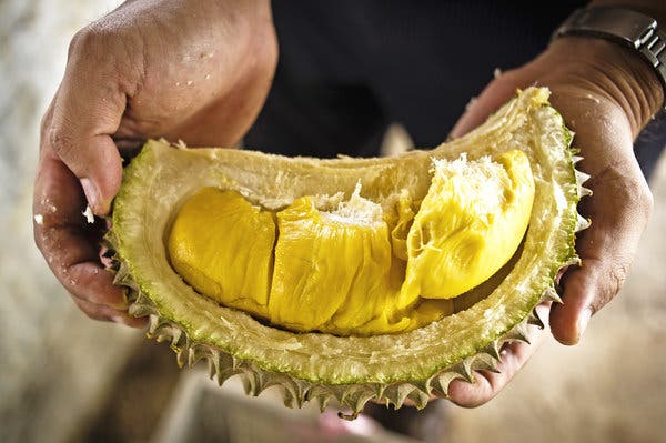can pregnant women eat durian