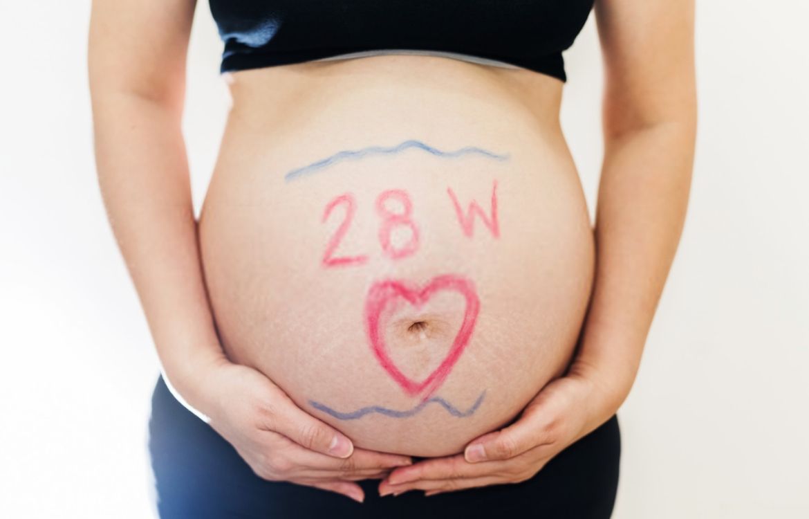 Живот на 28 неделе беременности