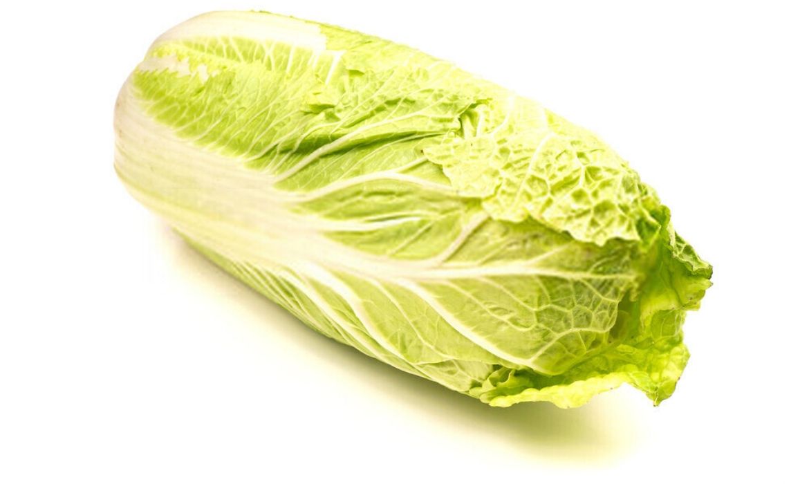napa cabbage - baby size during 32 weeks pregnant