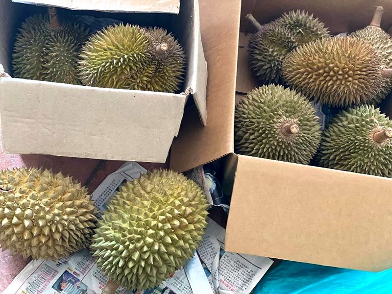 durian for durian cake 