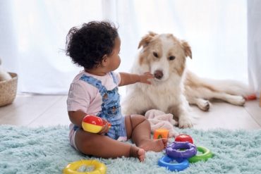 toddler play with dog