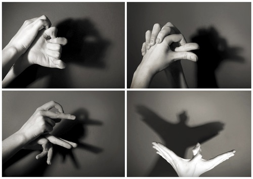 Try out these hand shadow tricks with your children