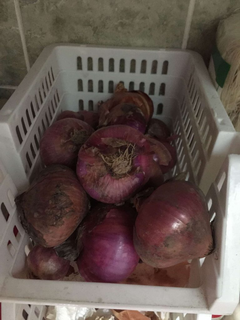 keep onions, cooking ingredients last longer