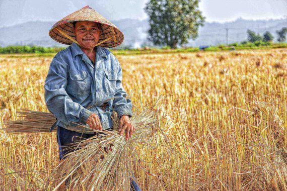 Honouring the food heroes along the celebration of World Food Day