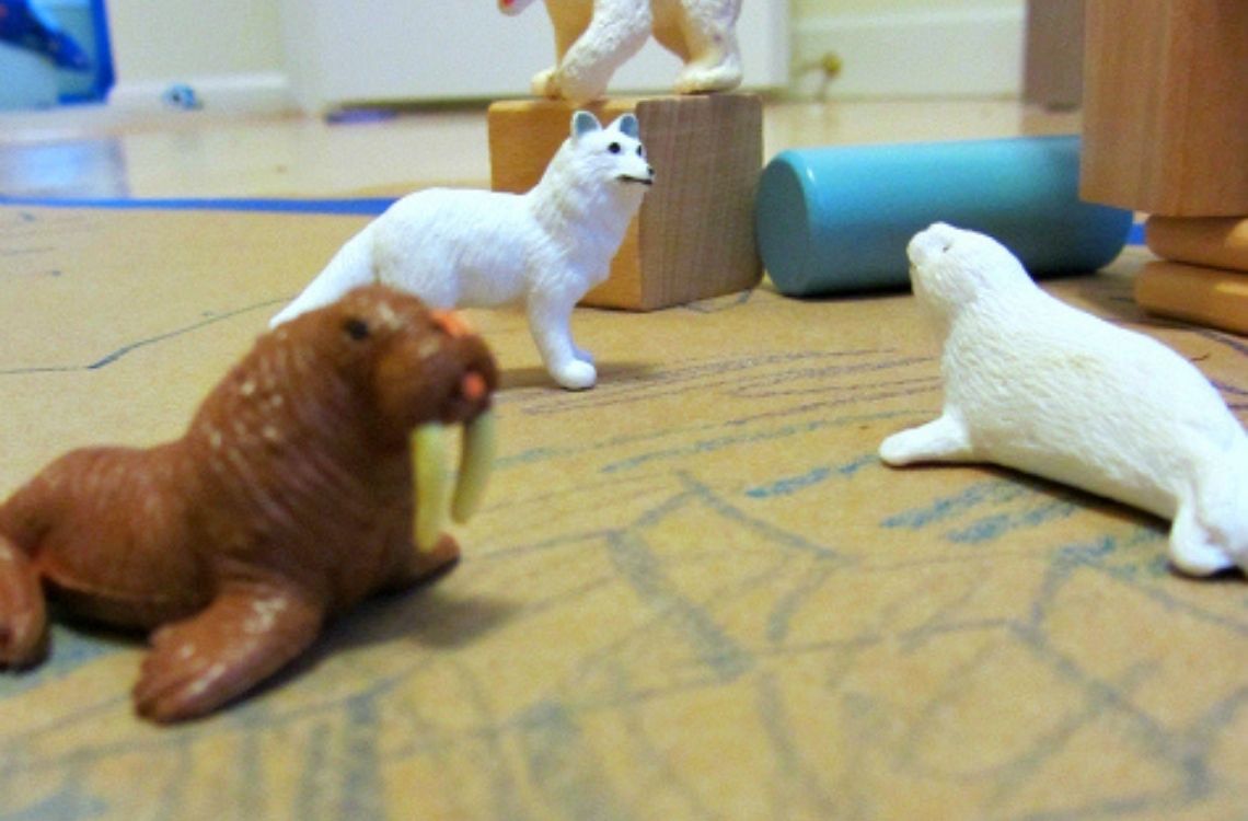 toy animals - creating zoo at home