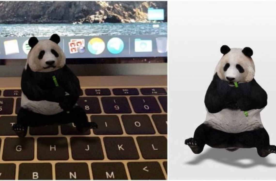 3D Panda as one of the activities to bring in zoo into the house