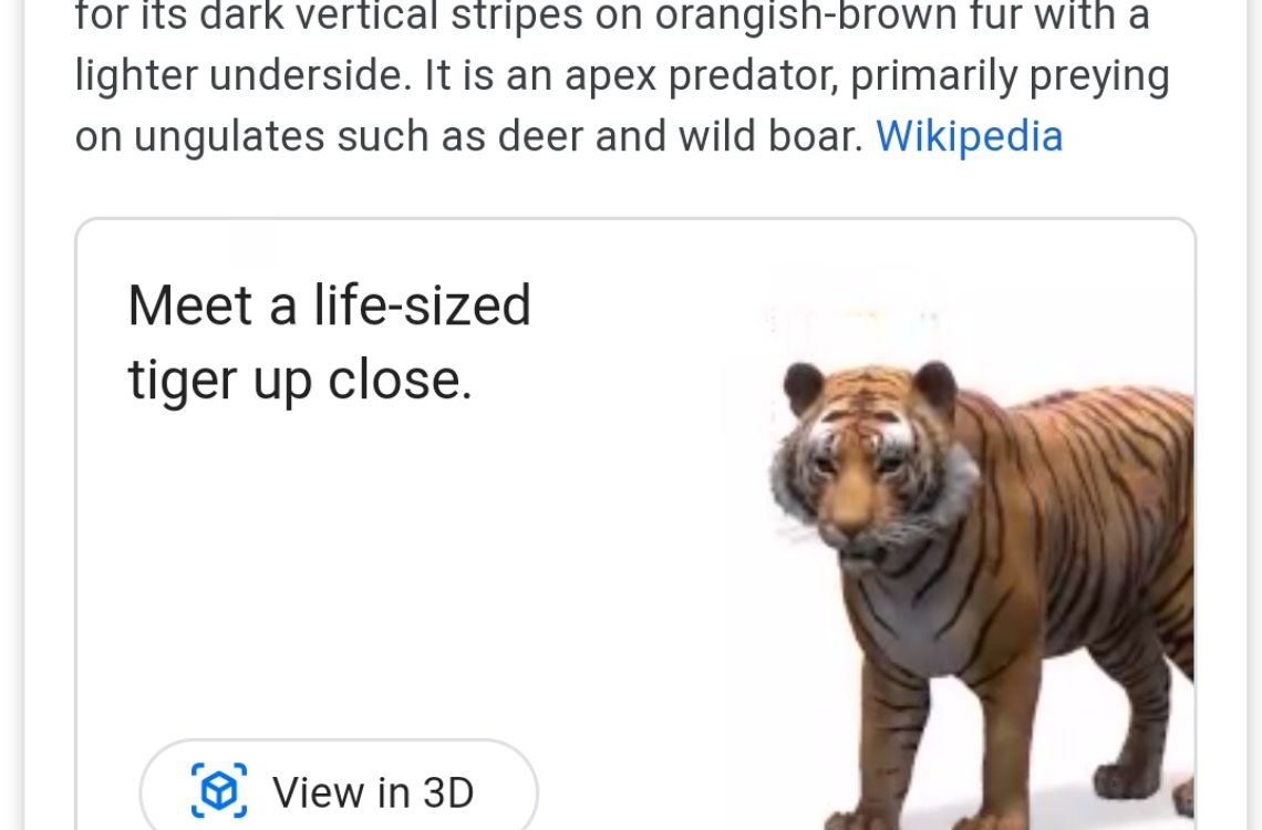Google 3D Animals as one of the activities 