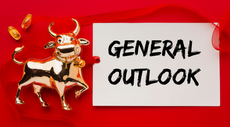 Ox Year General Outlook