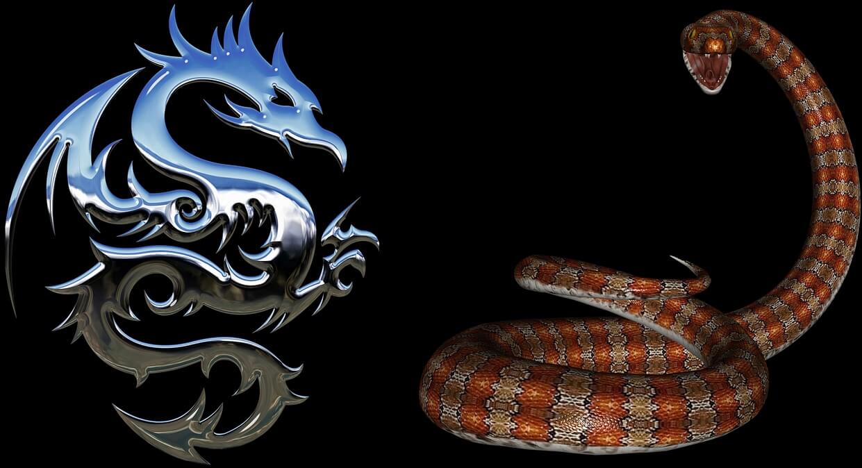 The Dragon and Snake in the Chinese zodiac story