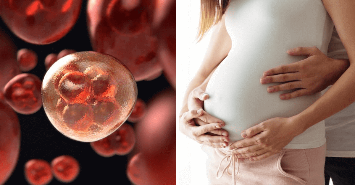 MumsToBe, Here's Why Storing Your Baby's Stem Cells Is a OnceIna