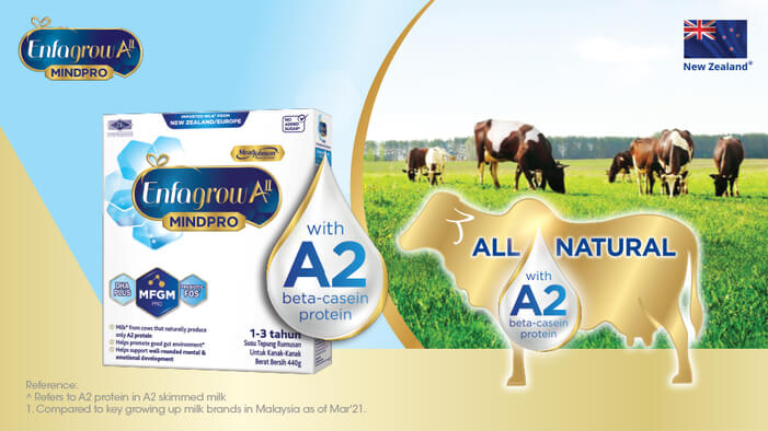 a2 beta-casein protein milk - Enfagrow AII MindPro