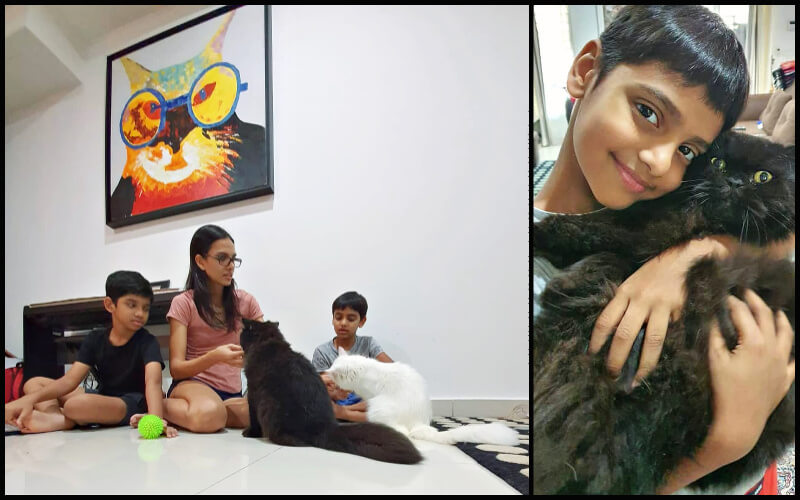 Fiona with sons Aryan and Ayrton and their pet cats Sidney and Frost. And Ayrton with Sydney on the right.
