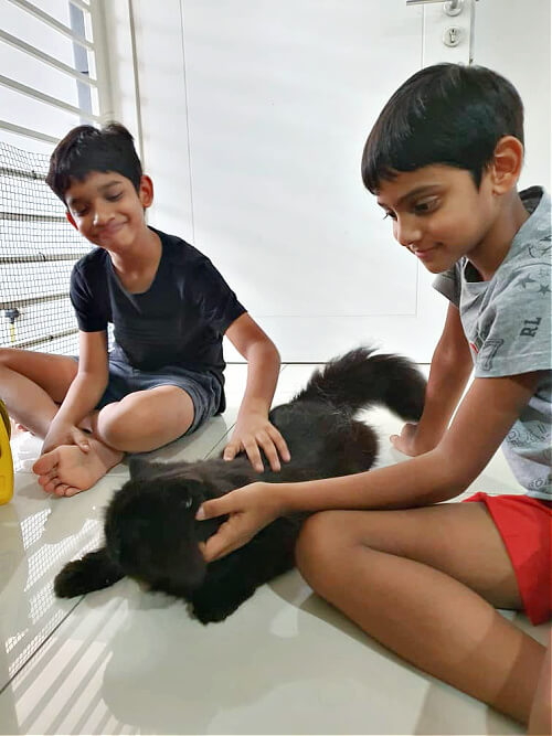When everyday with an ailing pet is a gift. Aryton and Aryan with Sydney.