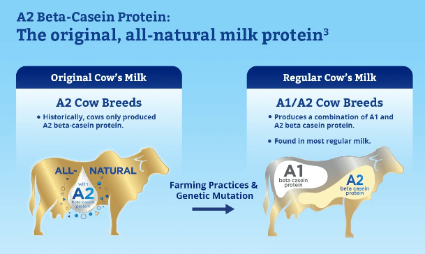 a2 beta-casein protein milk