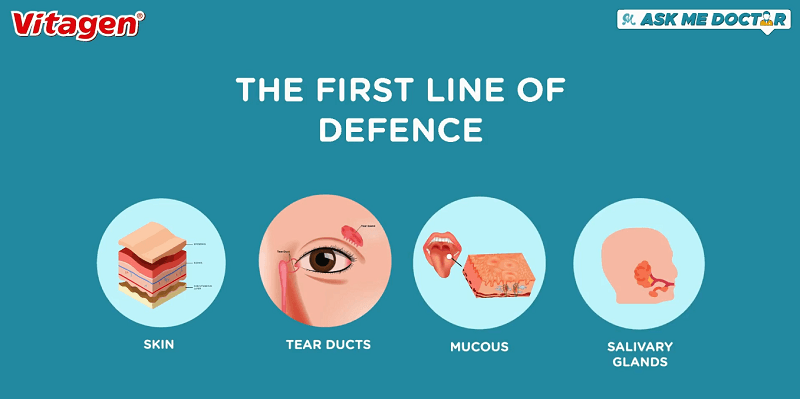 the first line of defence - Immunity in the new normal