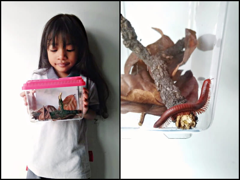 Hana holding her nature-based project for her playschool.