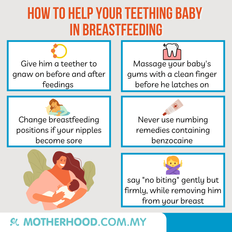 This infographic shares how you can help your teething baby during the breastfeeding process.
