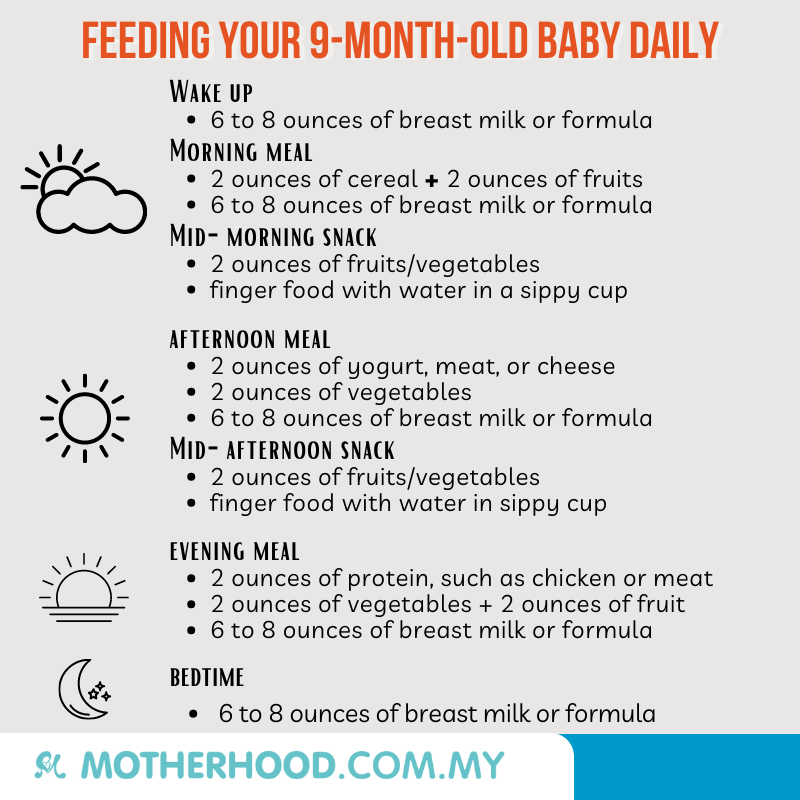 This infographic shares about how you can feed your 9-month-old baby throughout the day.