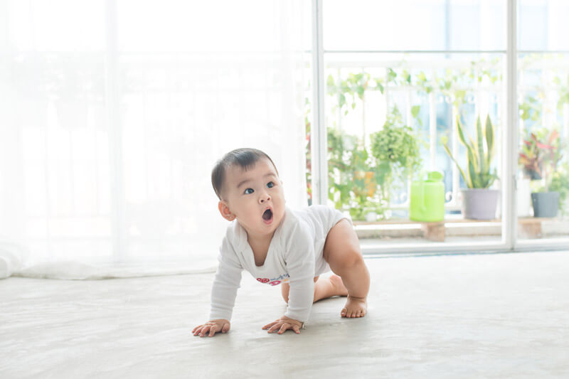 8-month-old