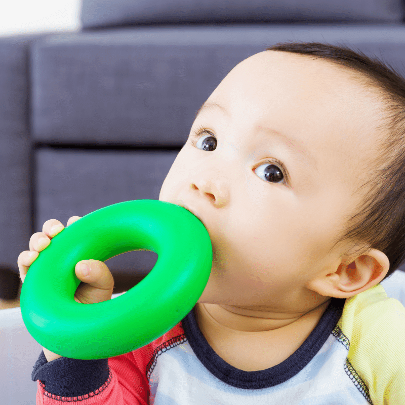 An Asian baby boy is biting on his toys.