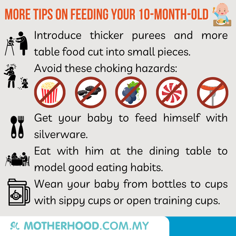 This infographic shares about how you can feed your 10-month-old baby.