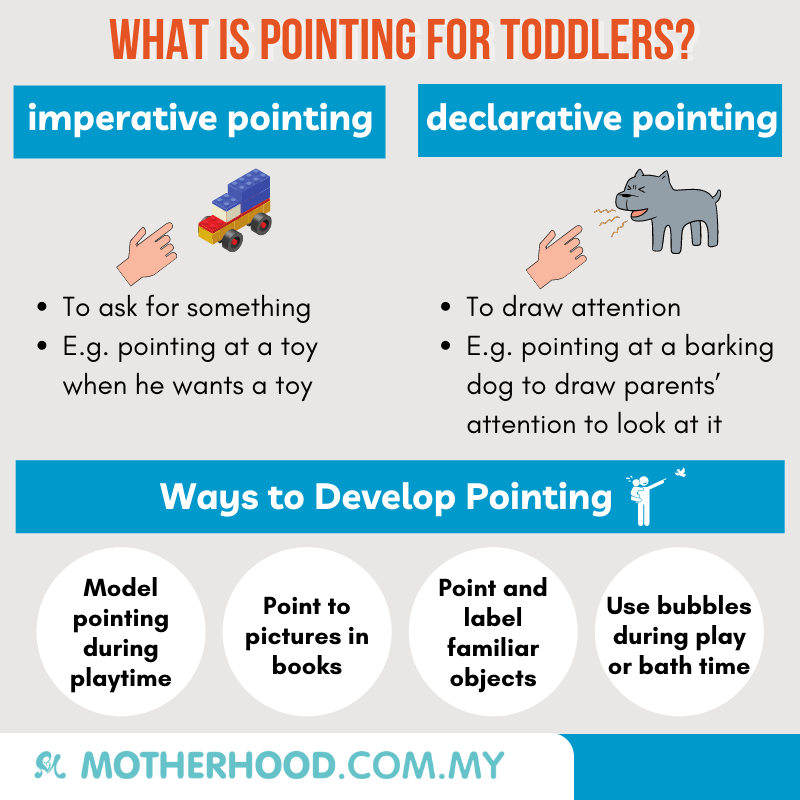 This infographic shares about pointing for toddlers.